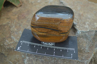 Polished Tiger's Eye Free Forms x 5 From Prieska, South Africa