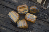Polished Tiger's Eye Free Forms x 5 From Prieska, South Africa