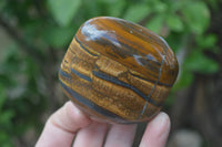 Polished Tiger's Eye Free Forms x 5 From Prieska, South Africa