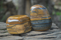 Polished Tiger's Eye Free Forms x 5 From Prieska, South Africa