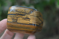 Polished Tiger's Eye Free Forms x 5 From Prieska, South Africa