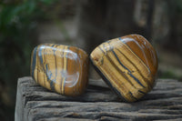 Polished Tiger's Eye Free Forms x 5 From Prieska, South Africa