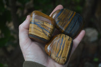 Polished Tiger's Eye Free Forms x 5 From Prieska, South Africa