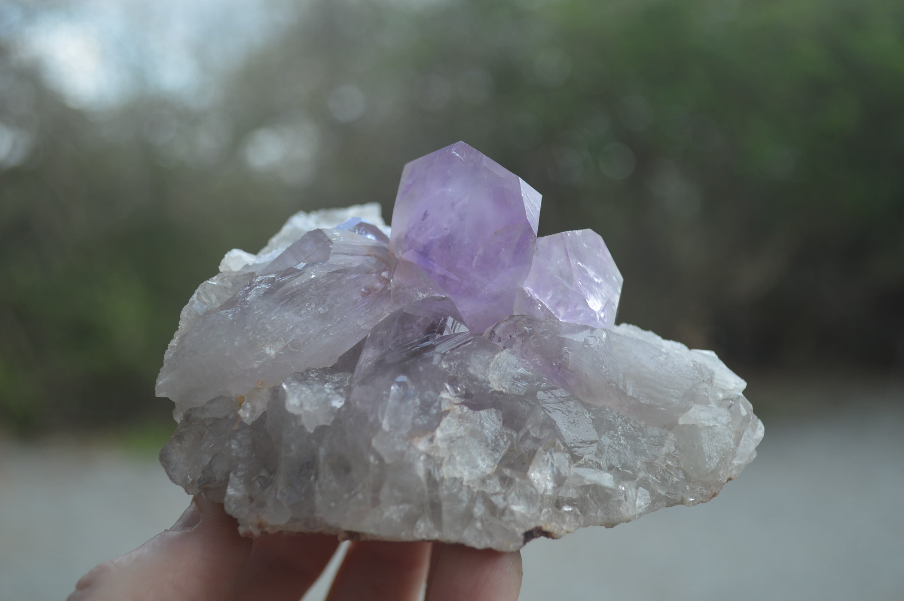 Natural Jacaranda Amethyst Quartz Clusters x 6 from Mumbwa, Zambia - Toprock Gemstones and Minerals 