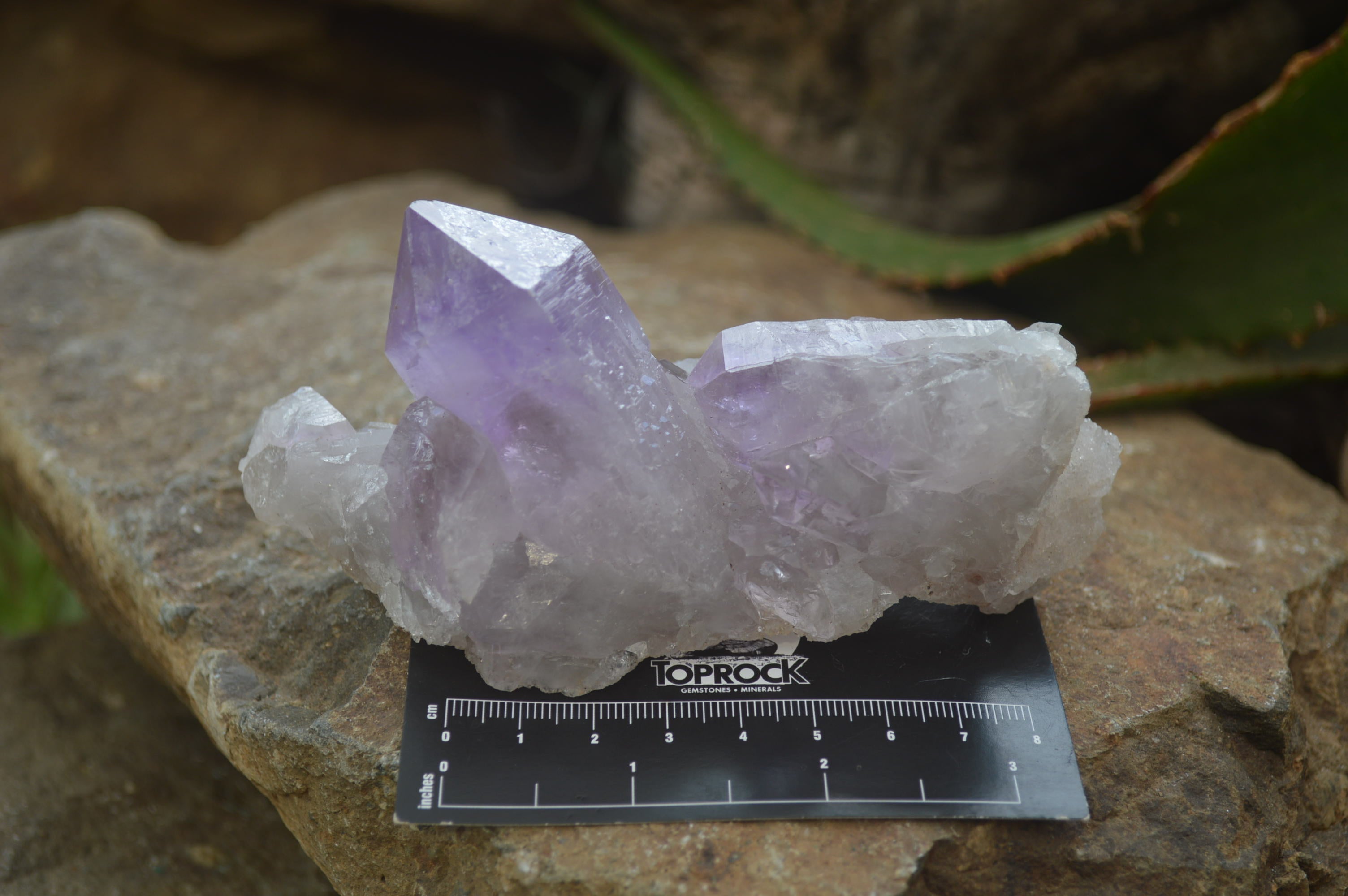 Natural Jacaranda Amethyst Quartz Clusters x 6 from Mumbwa, Zambia - Toprock Gemstones and Minerals 