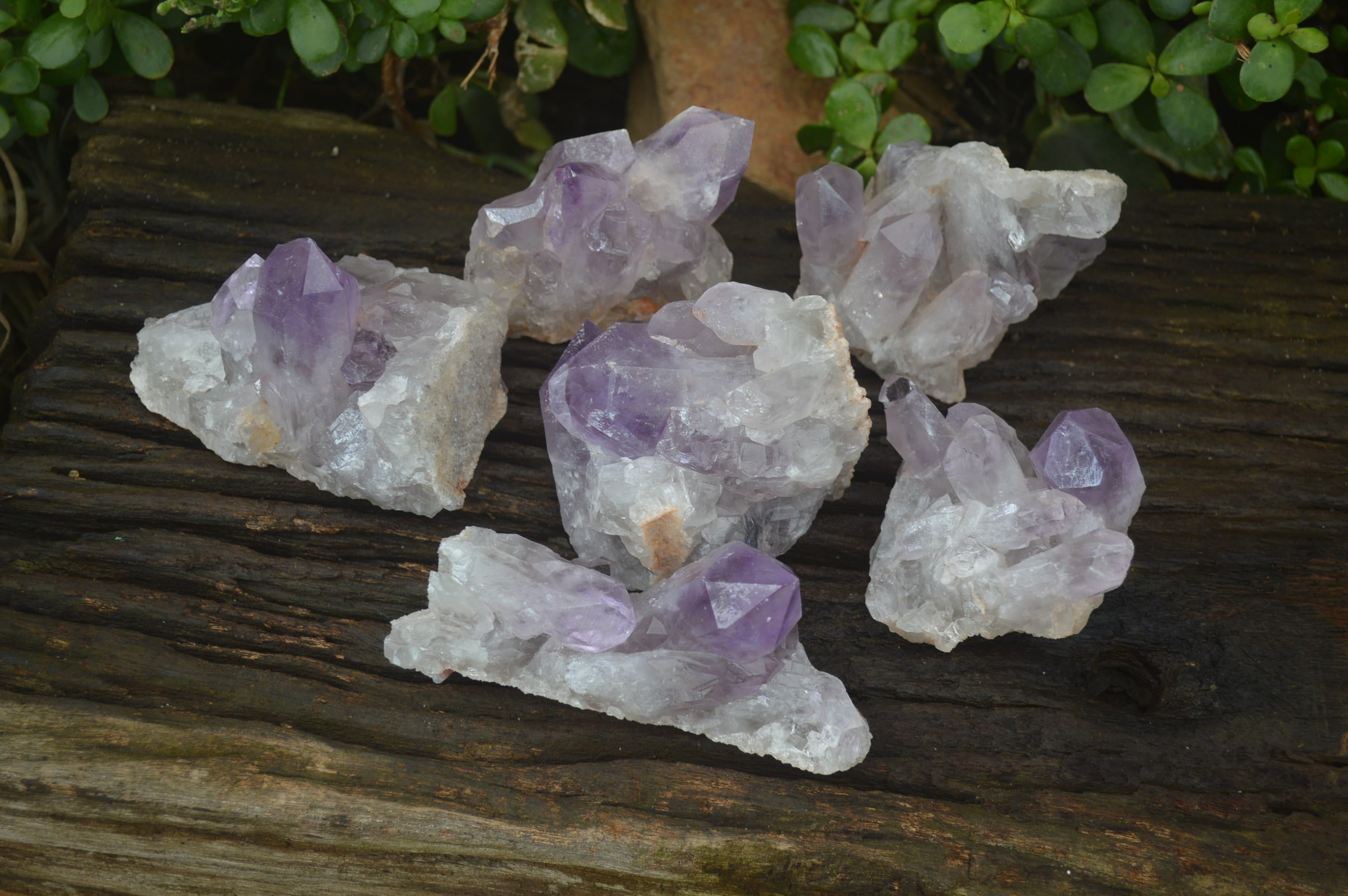 Natural Jacaranda Amethyst Quartz Clusters x 6 from Mumbwa, Zambia - Toprock Gemstones and Minerals 