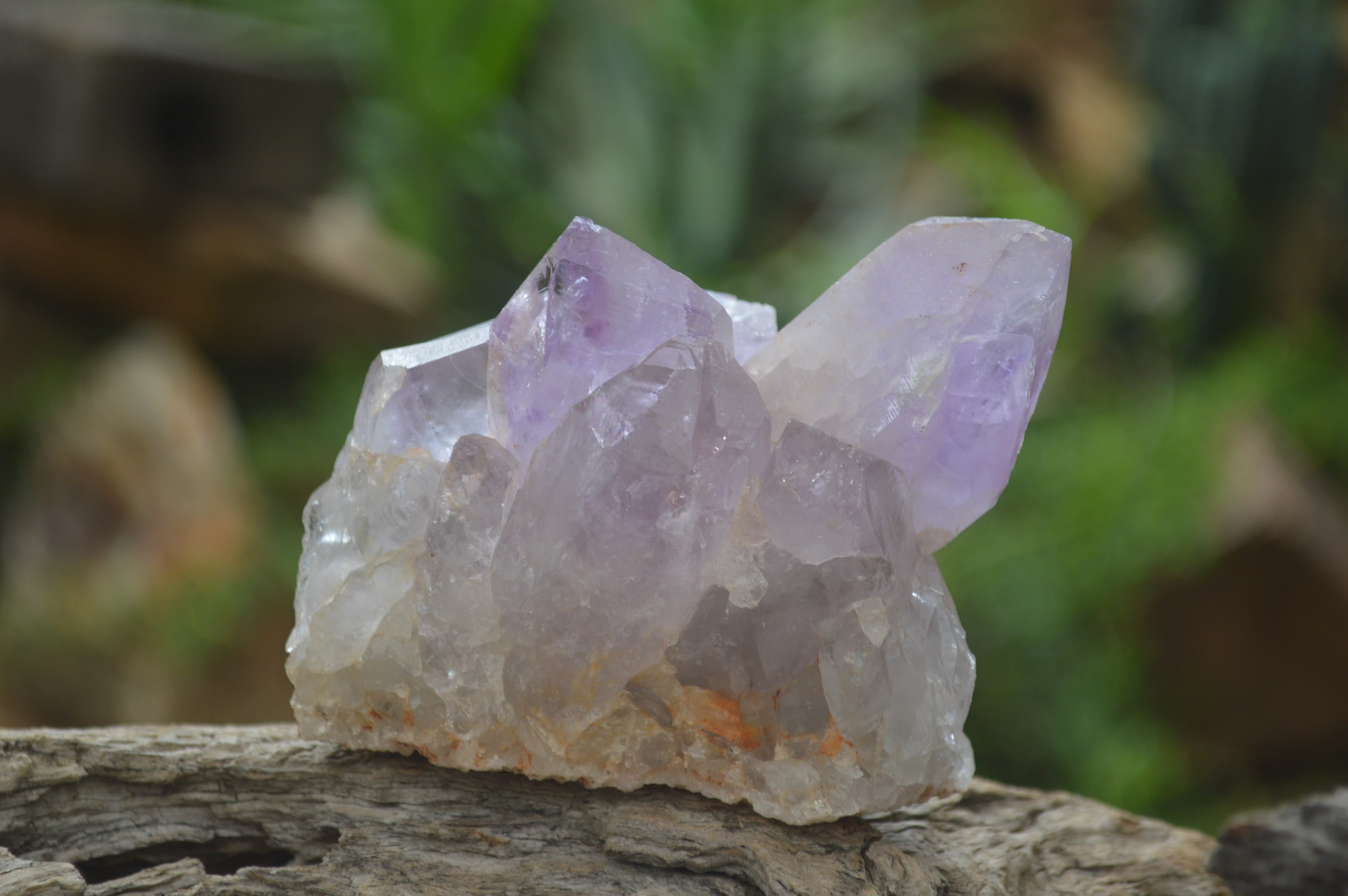 Natural Jacaranda Amethyst Quartz Clusters x 6 from Mumbwa, Zambia - Toprock Gemstones and Minerals 
