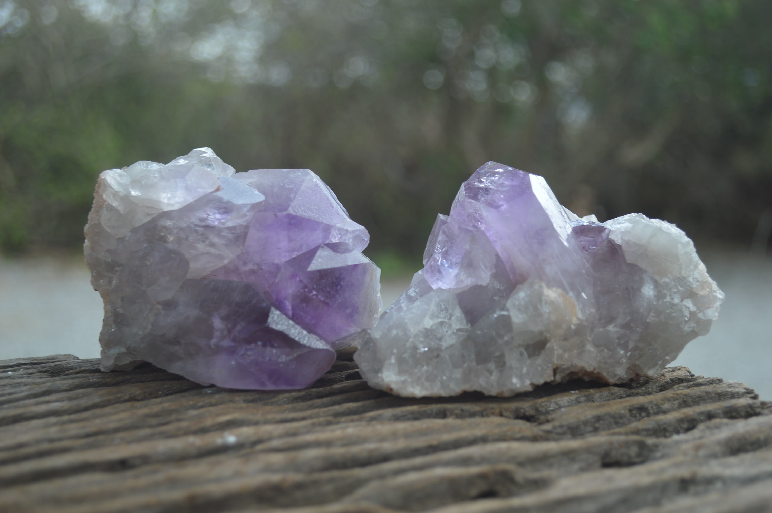 Natural Jacaranda Amethyst Quartz Clusters x 6 from Mumbwa, Zambia - Toprock Gemstones and Minerals 