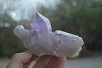 Natural Jacaranda Amethyst Quartz Clusters x 6 from Mumbwa, Zambia - Toprock Gemstones and Minerals 