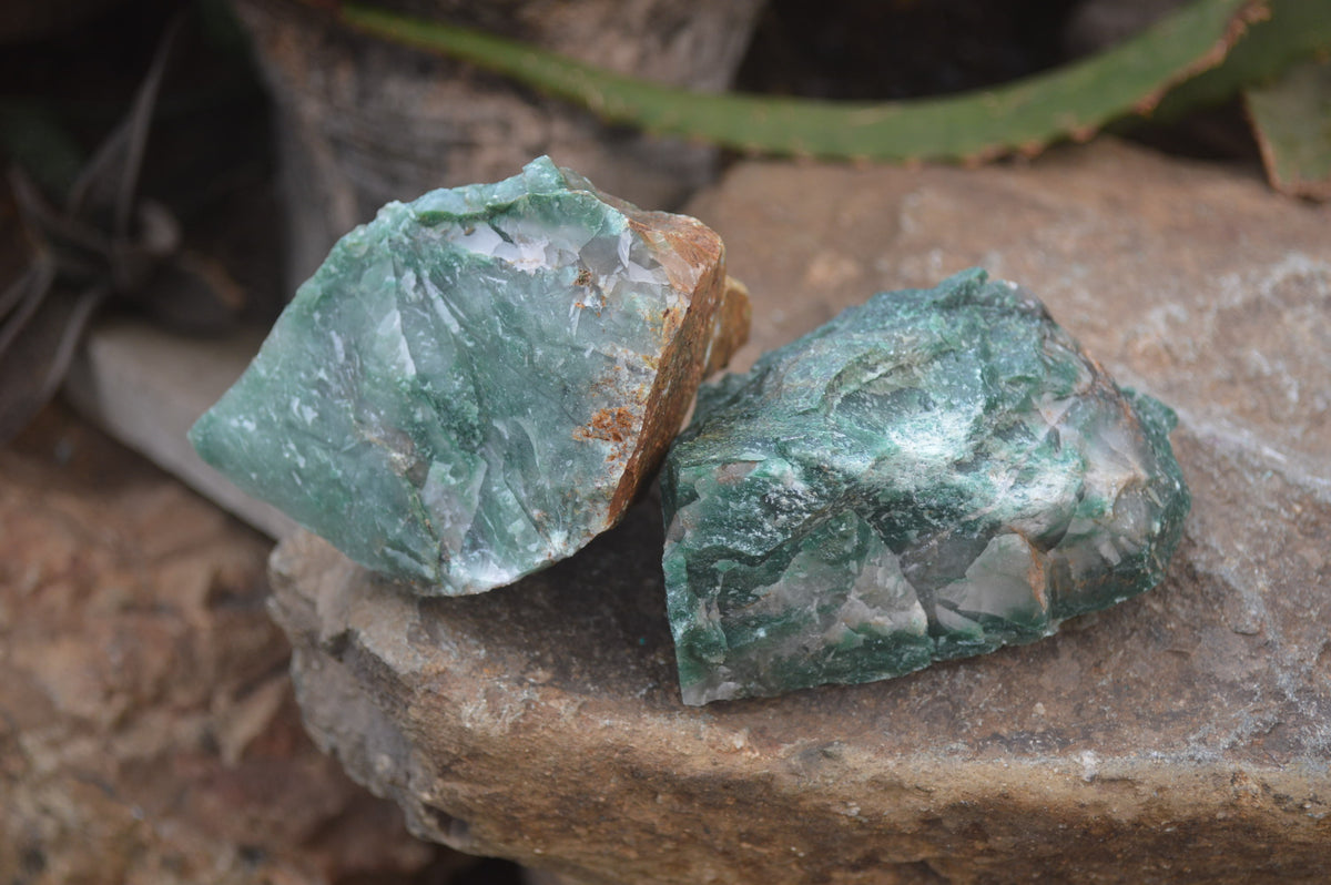 Natural Swazi Jade Cobbed Specimens x 12 from Swaziland - Toprock Gemstones and Minerals 