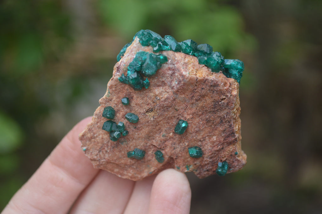 Natural Dioptase On Dolomite Specimens x 6 From Likasi, Congo - Toprock Gemstones and Minerals 