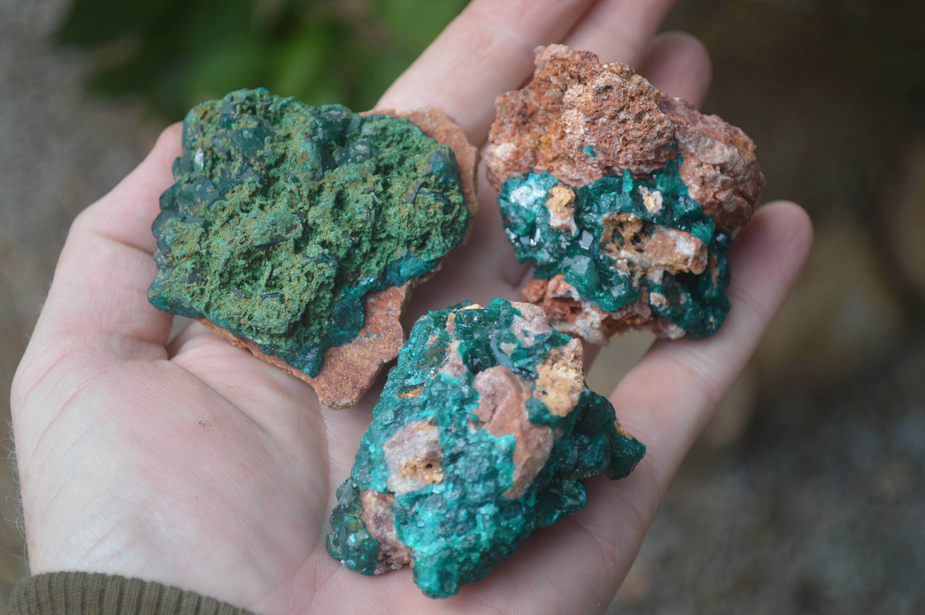 Natural Dioptase On Dolomite Specimens x 6 From Likasi, Congo - Toprock Gemstones and Minerals 