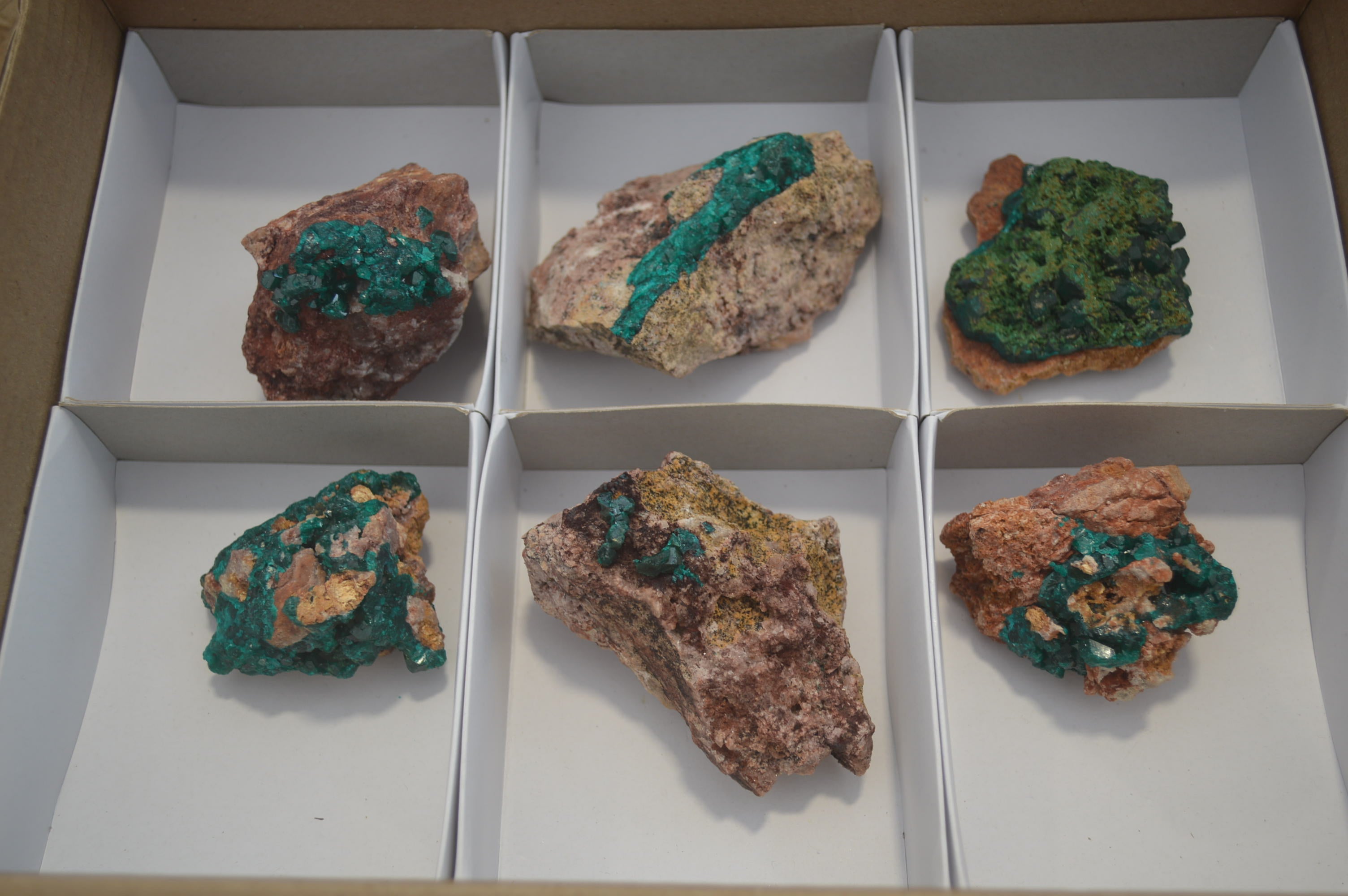 Natural Dioptase On Dolomite Specimens x 6 From Likasi, Congo - Toprock Gemstones and Minerals 