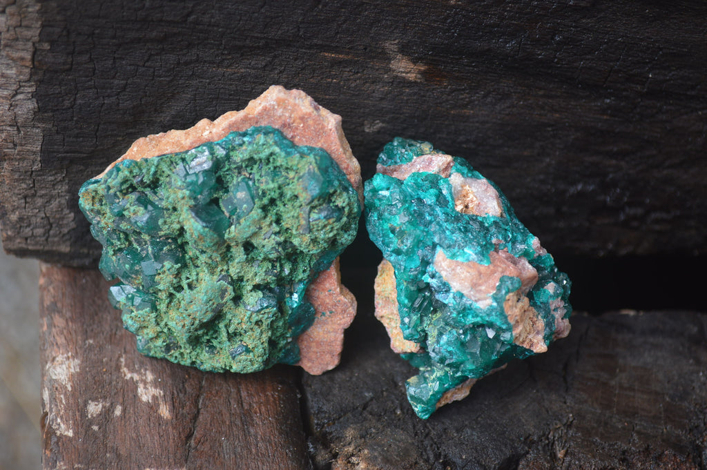Natural Dioptase On Dolomite Specimens x 6 From Likasi, Congo - Toprock Gemstones and Minerals 