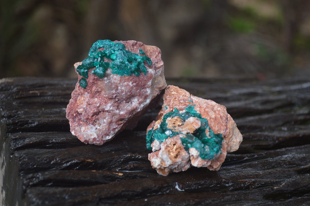 Natural Dioptase On Dolomite Specimens x 6 From Likasi, Congo - Toprock Gemstones and Minerals 