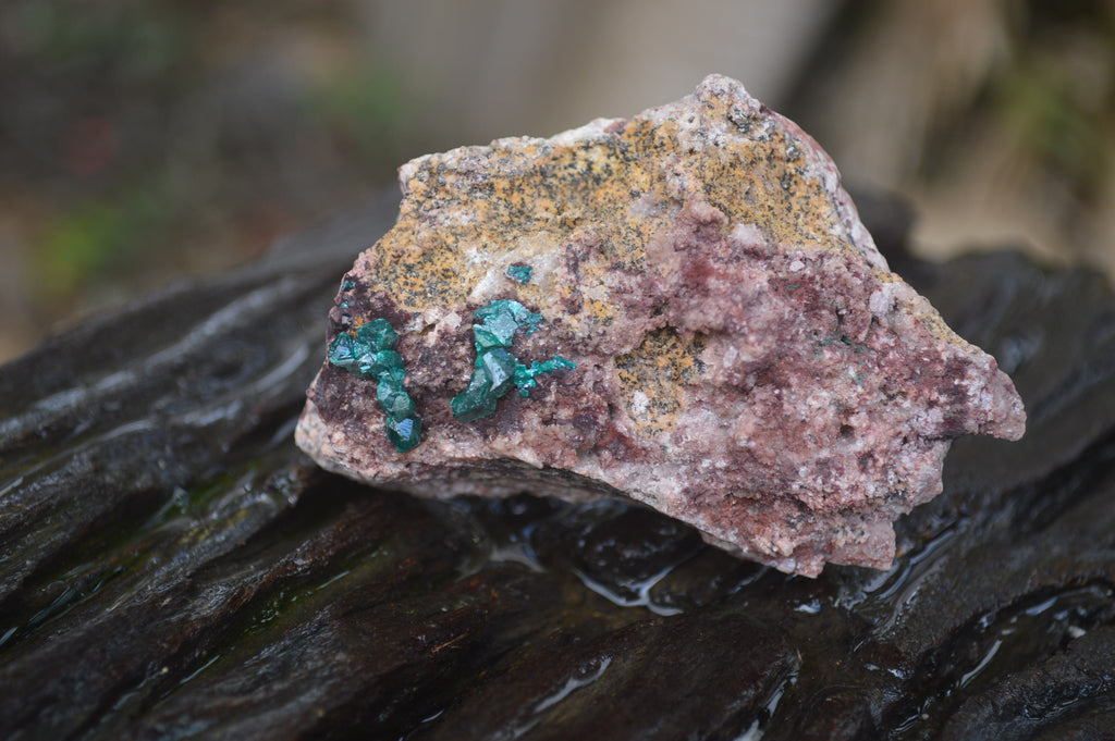 Natural Dioptase On Dolomite Specimens x 6 From Likasi, Congo - Toprock Gemstones and Minerals 