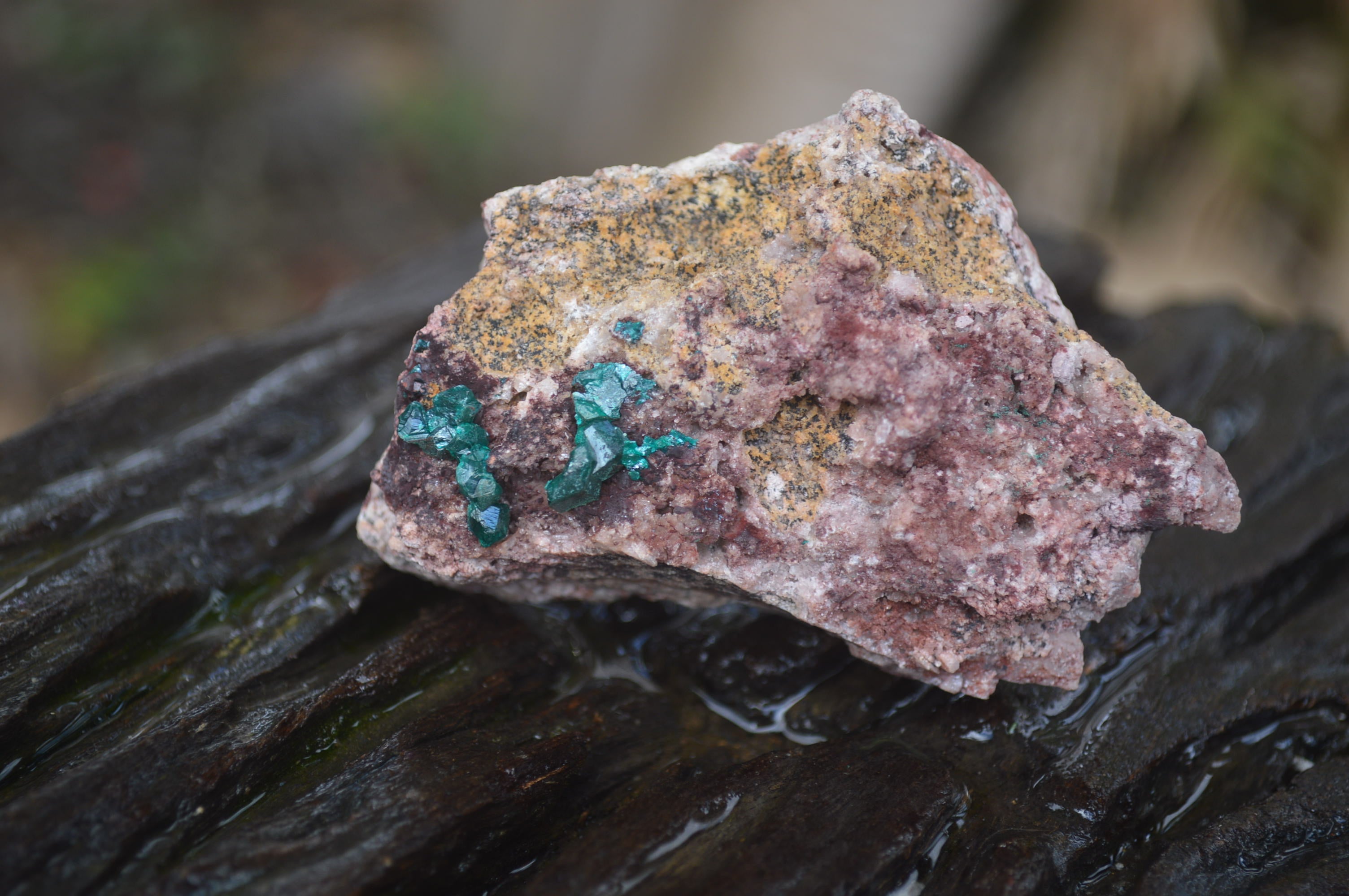 Natural Dioptase On Dolomite Specimens x 6 From Likasi, Congo - Toprock Gemstones and Minerals 