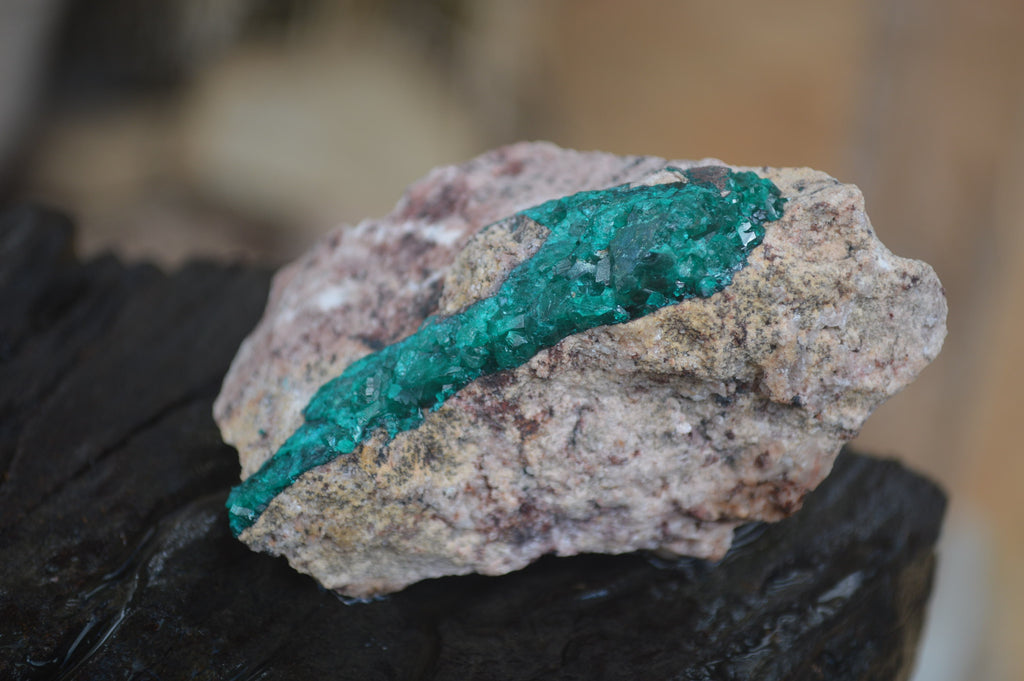 Natural Dioptase On Dolomite Specimens x 6 From Likasi, Congo - Toprock Gemstones and Minerals 