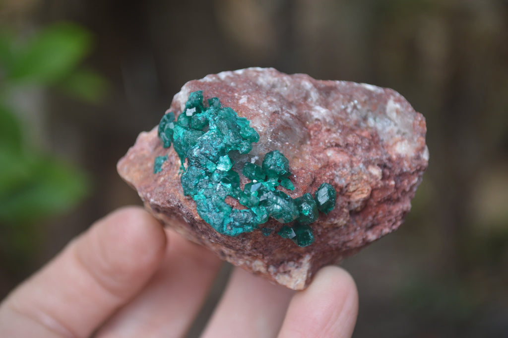 Natural Dioptase On Dolomite Specimens x 6 From Likasi, Congo - Toprock Gemstones and Minerals 