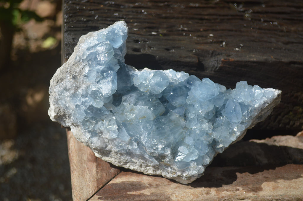 Natural Celestite Geode Specimen x 1 From Sakoany, Madagascar - Toprock Gemstones and Minerals 