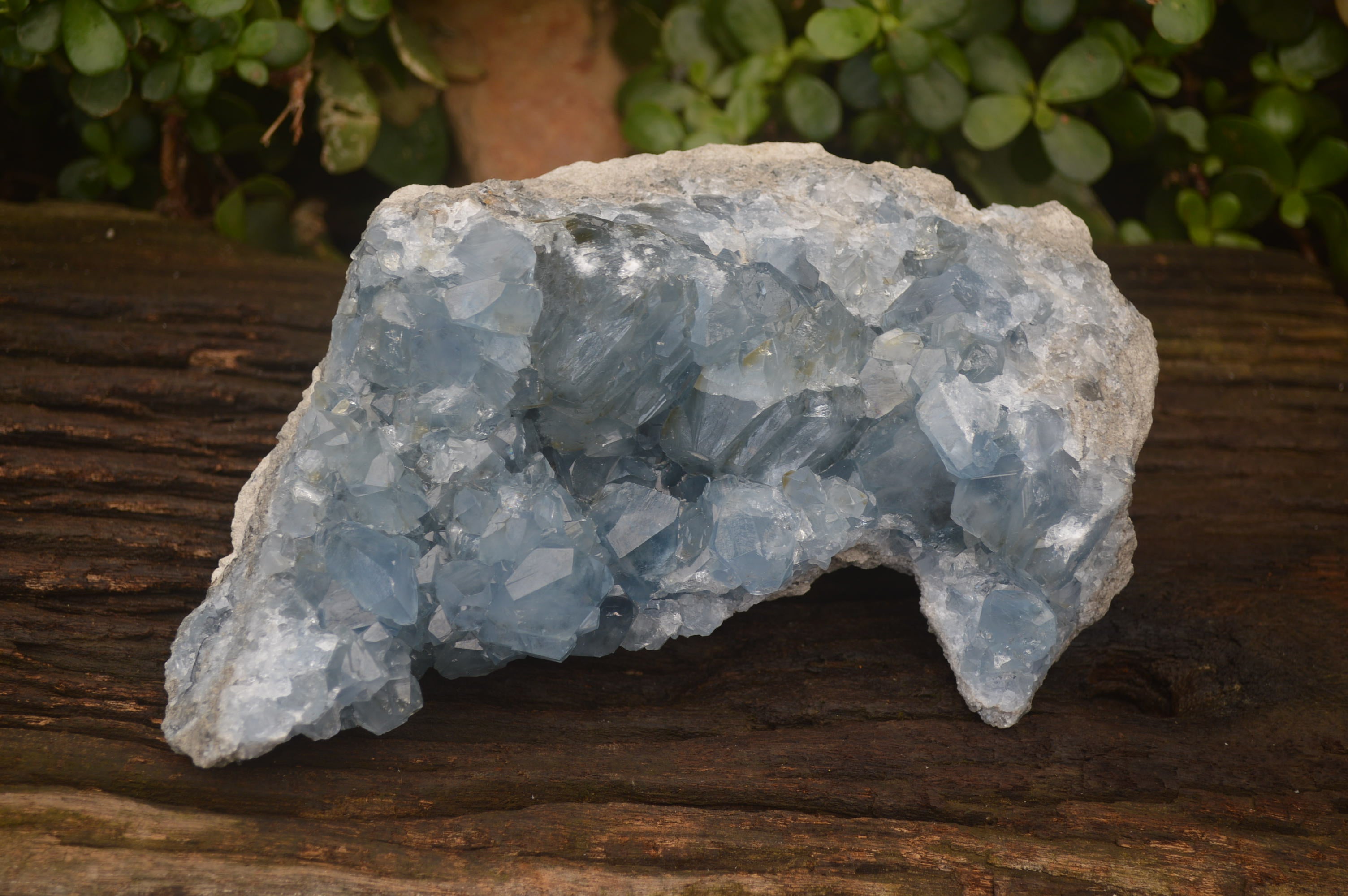 Natural Celestite Geode Specimen x 1 From Sakoany, Madagascar - Toprock Gemstones and Minerals 