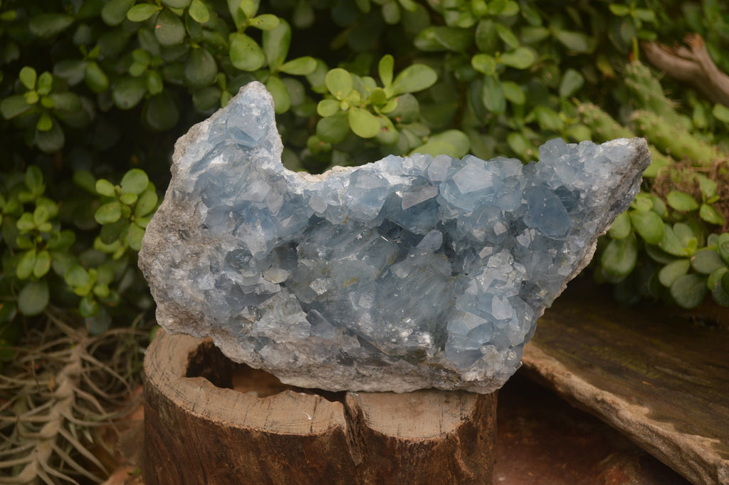 Natural Celestite Geode Specimen x 1 From Sakoany, Madagascar - Toprock Gemstones and Minerals 