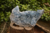 Natural Celestite Geode Specimen x 1 From Sakoany, Madagascar - Toprock Gemstones and Minerals 