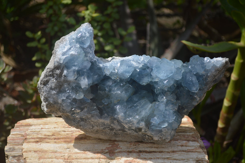 Natural Celestite Geode Specimen x 1 From Sakoany, Madagascar - Toprock Gemstones and Minerals 