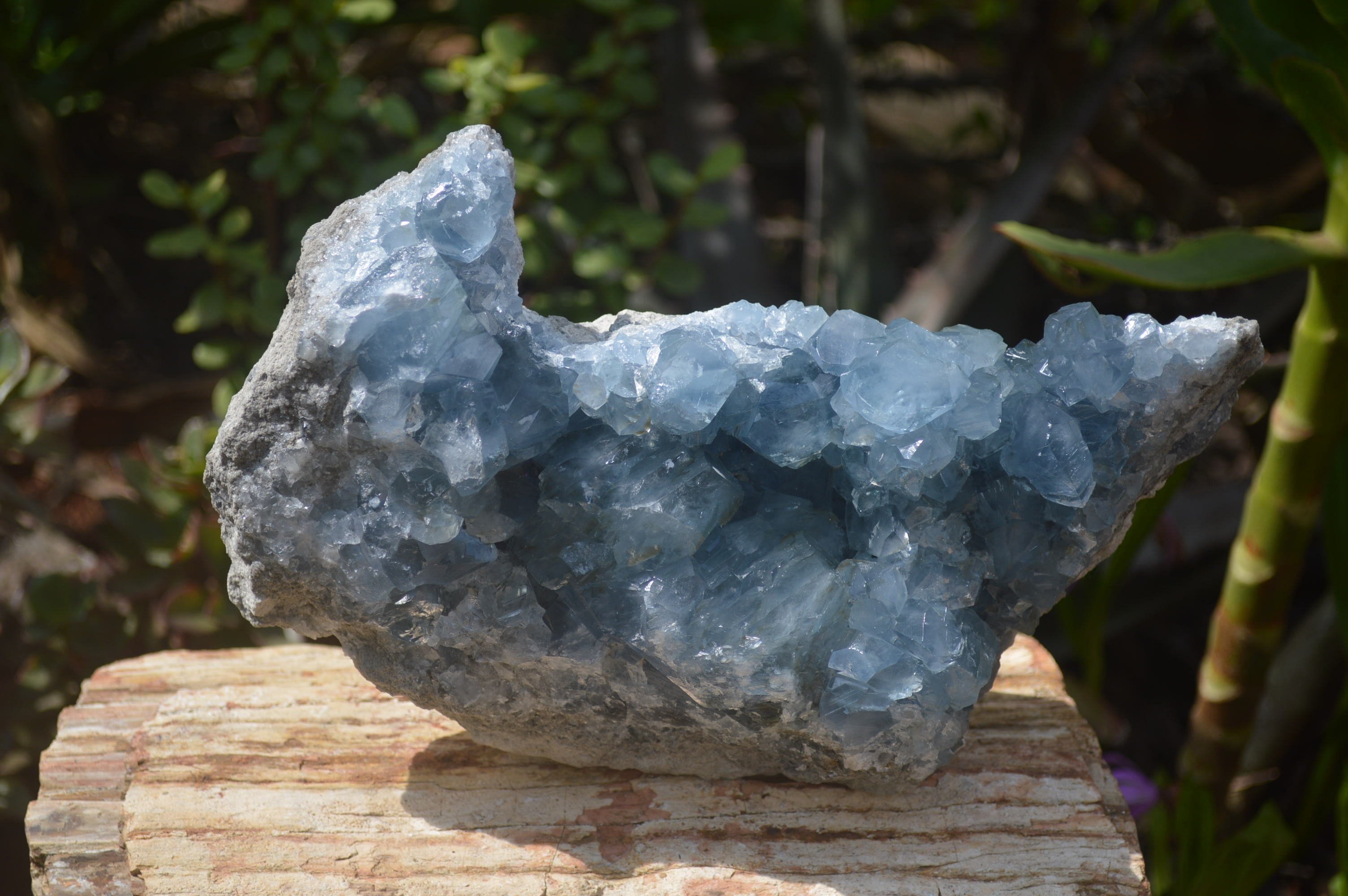 Natural Celestite Geode Specimen x 1 From Sakoany, Madagascar - Toprock Gemstones and Minerals 