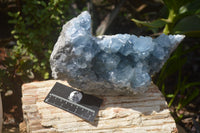 Natural Celestite Geode Specimen x 1 From Sakoany, Madagascar - Toprock Gemstones and Minerals 