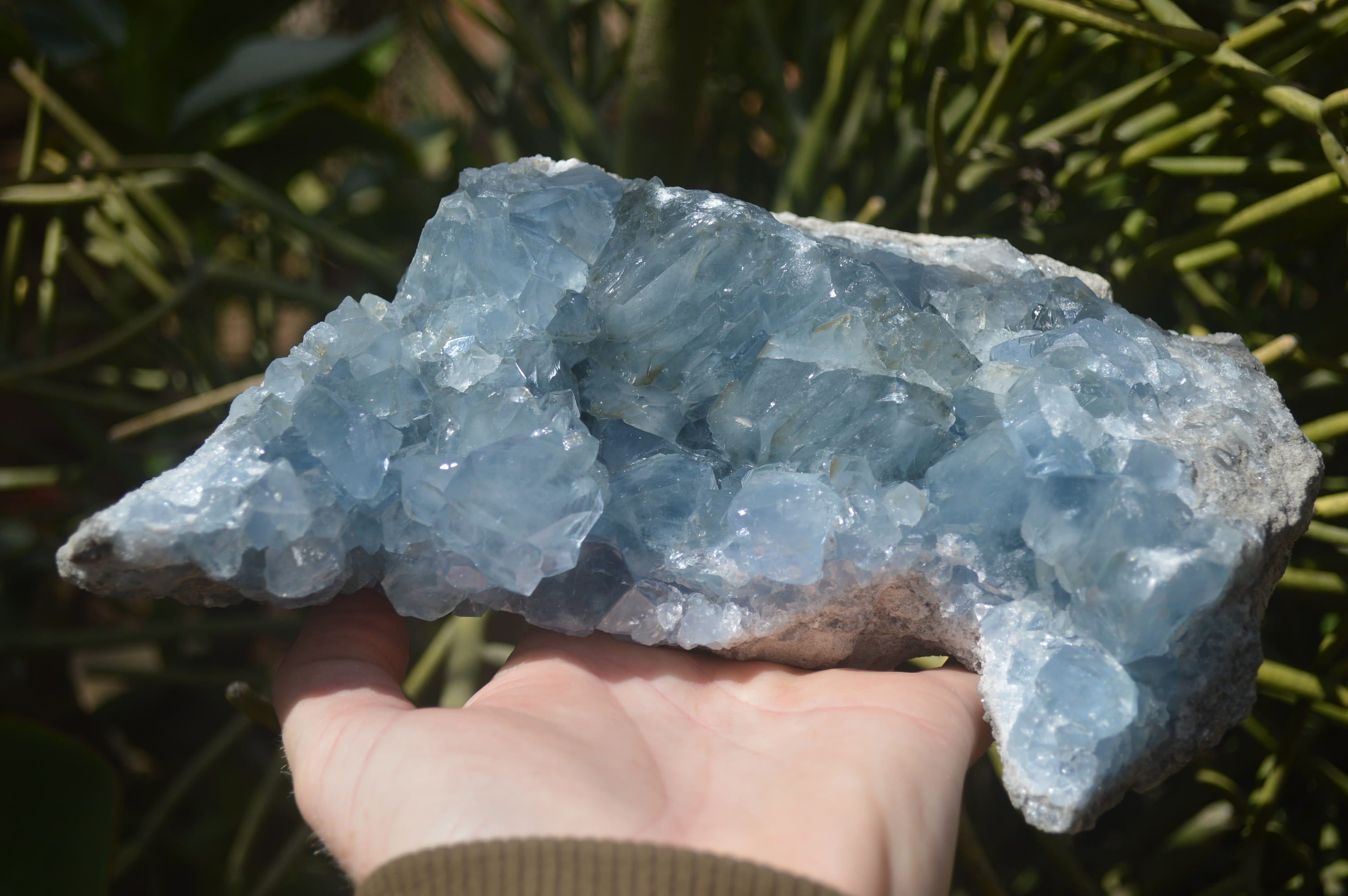 Natural Celestite Geode Specimen x 1 From Sakoany, Madagascar - Toprock Gemstones and Minerals 