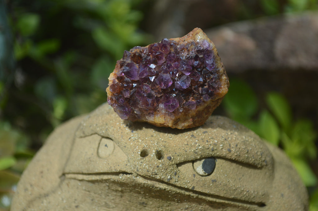 Natural Amethystos Amethyst Clusters x 20 From Kwaggafontein, South Africa - Toprock Gemstones and Minerals 