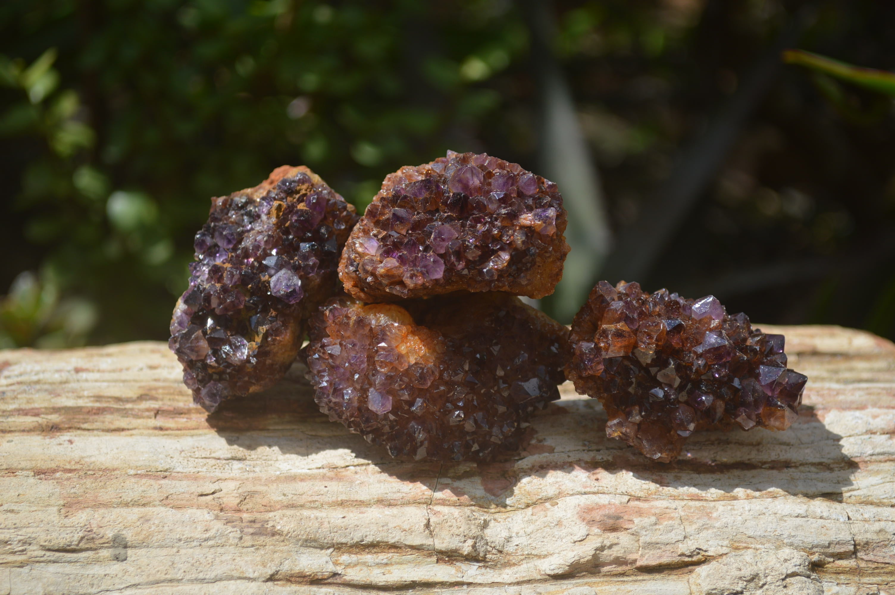 Natural Amethystos Amethyst Clusters x 20 From Kwaggafontein, South Africa - Toprock Gemstones and Minerals 