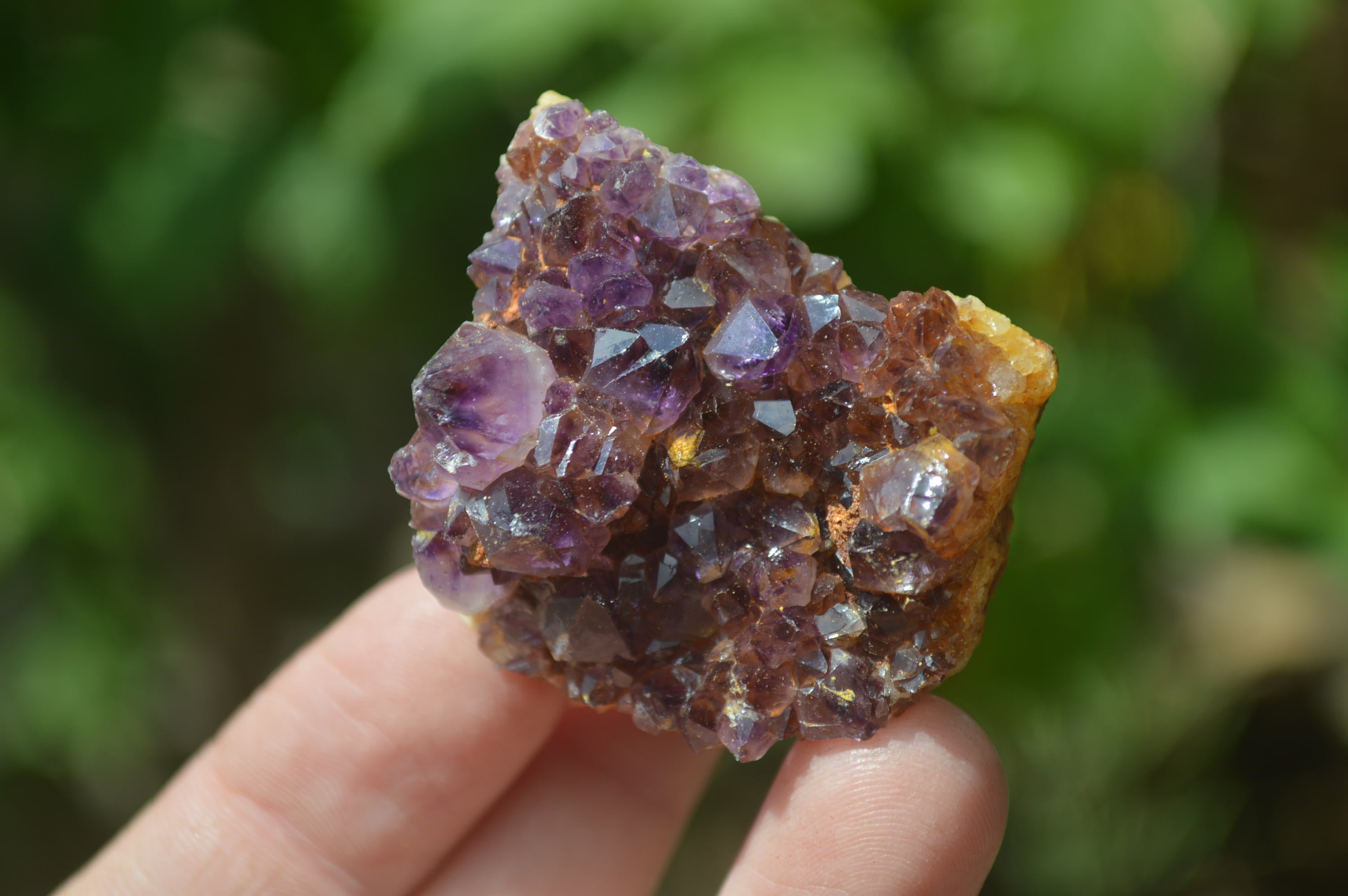 Natural Amethystos Amethyst Clusters x 20 From Kwaggafontein, South Africa - Toprock Gemstones and Minerals 