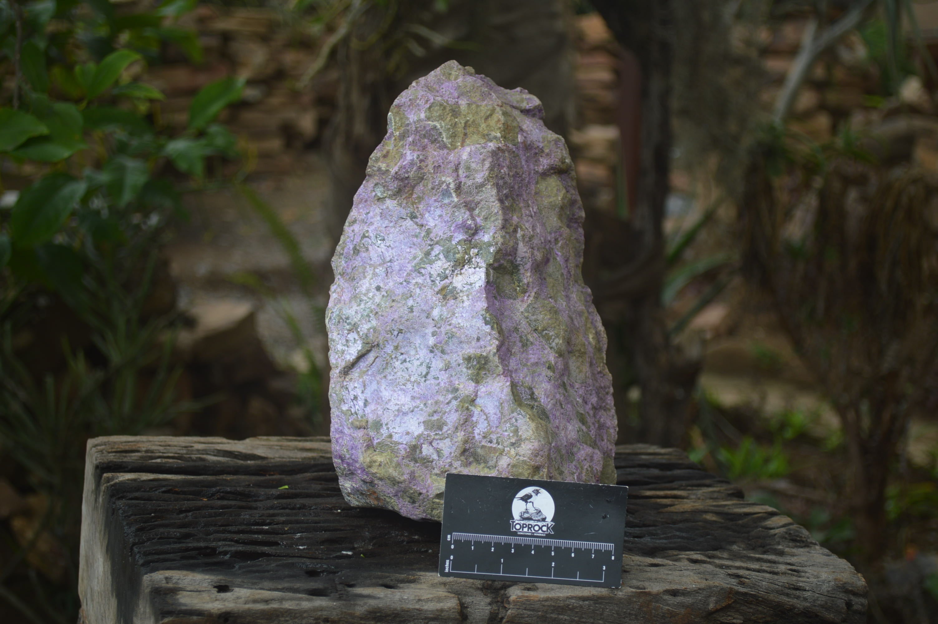 Natural Stichtite Cobbed Specimen x 1 From Barberton, South Africa - Toprock Gemstones and Minerals 