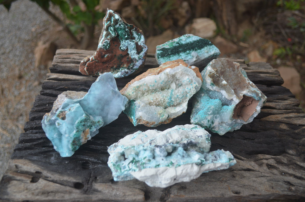 Natural Drusy Coated Malacolla On Dolomite Specimens x 6 From Likasi, Congo - Toprock Gemstones and Minerals 
