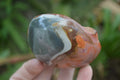 Polished On One Side Polychrome Jasper x 6 From Mahajanga, Madagascar - Toprock Gemstones and Minerals 