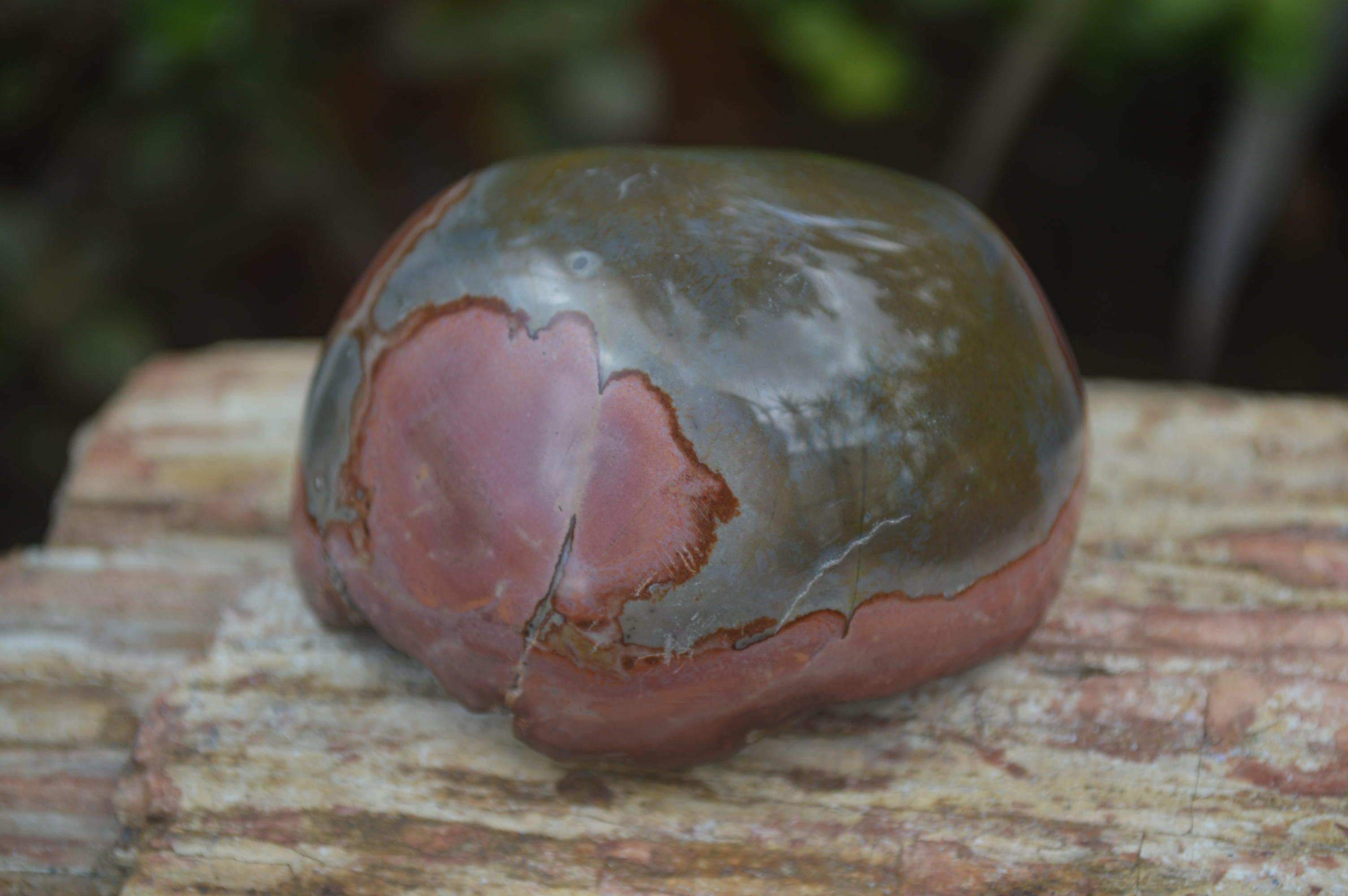 Polished On One Side Polychrome Jasper x 6 From Mahajanga, Madagascar - Toprock Gemstones and Minerals 