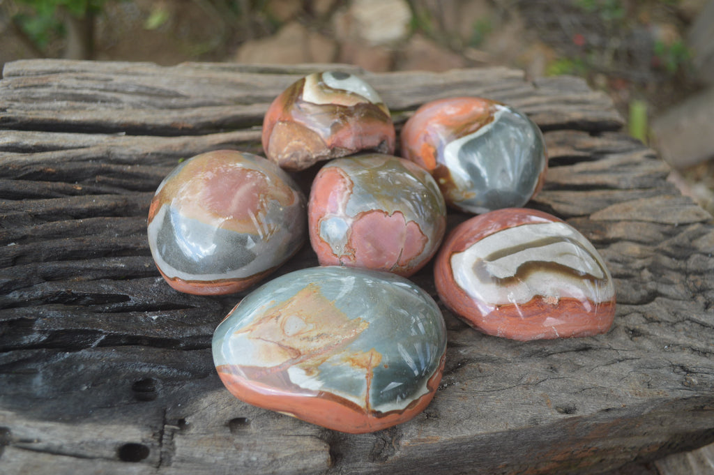 Polished On One Side Polychrome Jasper x 6 From Mahajanga, Madagascar - Toprock Gemstones and Minerals 