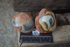 Polished On One Side Polychrome Jasper x 6 From Mahajanga, Madagascar - Toprock Gemstones and Minerals 