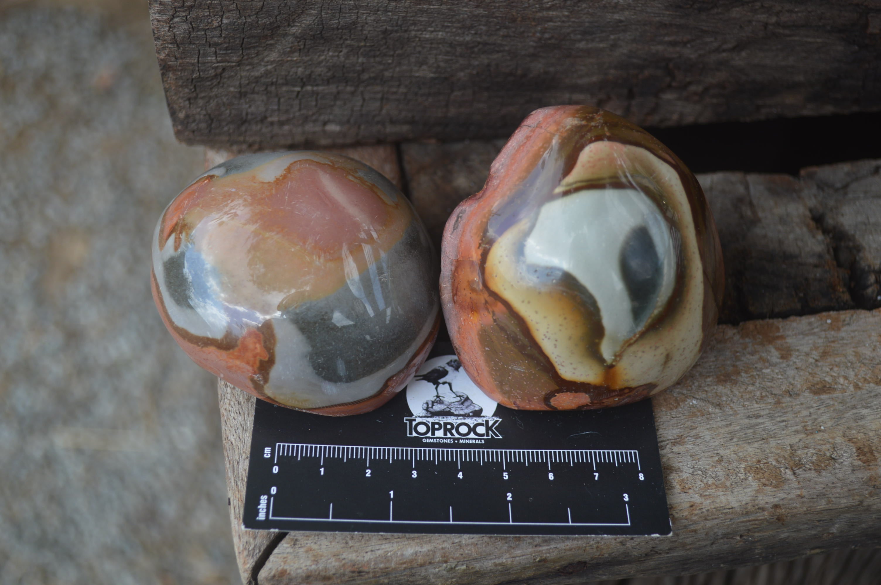 Polished On One Side Polychrome Jasper x 6 From Mahajanga, Madagascar - Toprock Gemstones and Minerals 