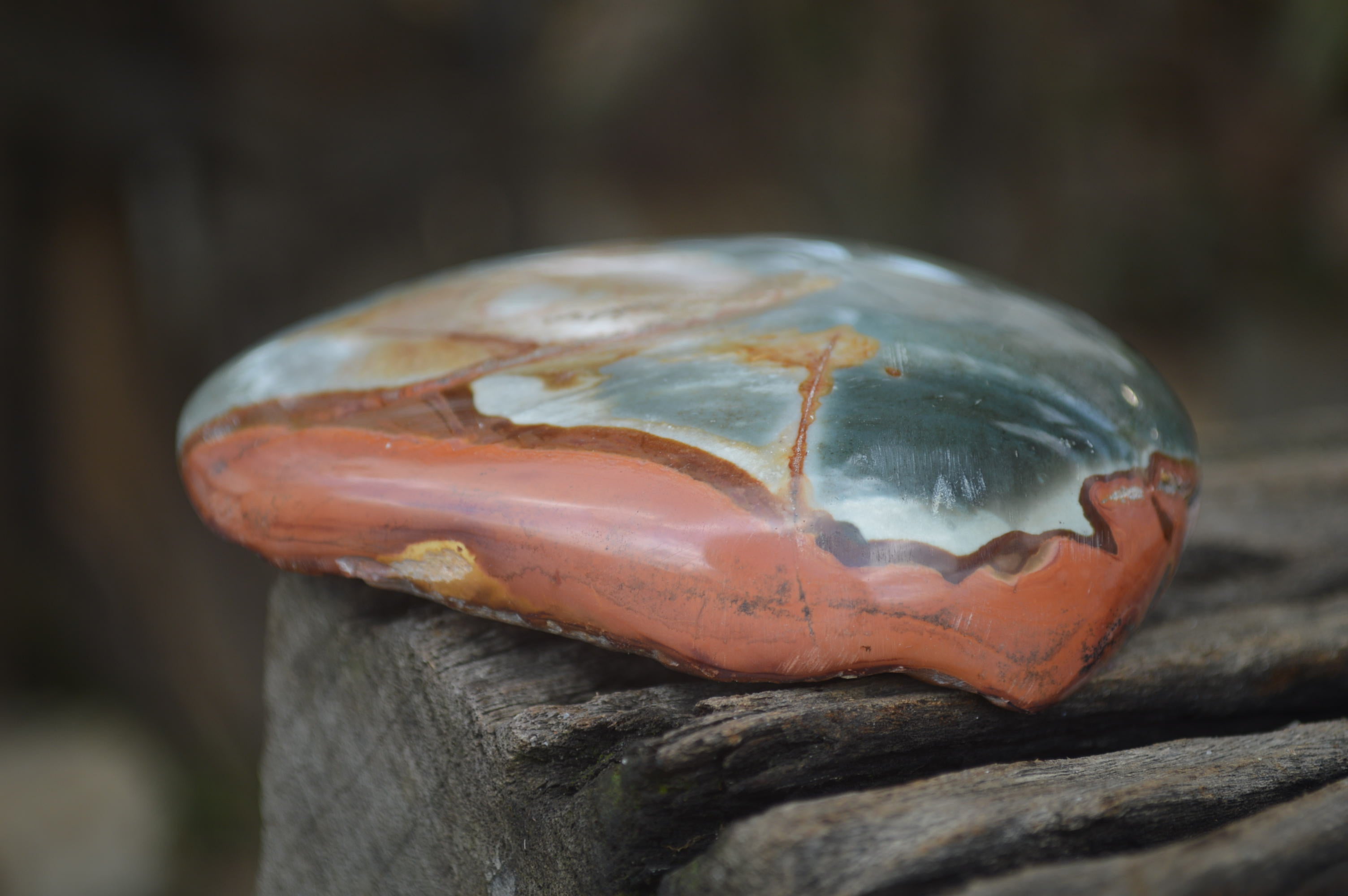 Polished On One Side Polychrome Jasper x 6 From Mahajanga, Madagascar - Toprock Gemstones and Minerals 