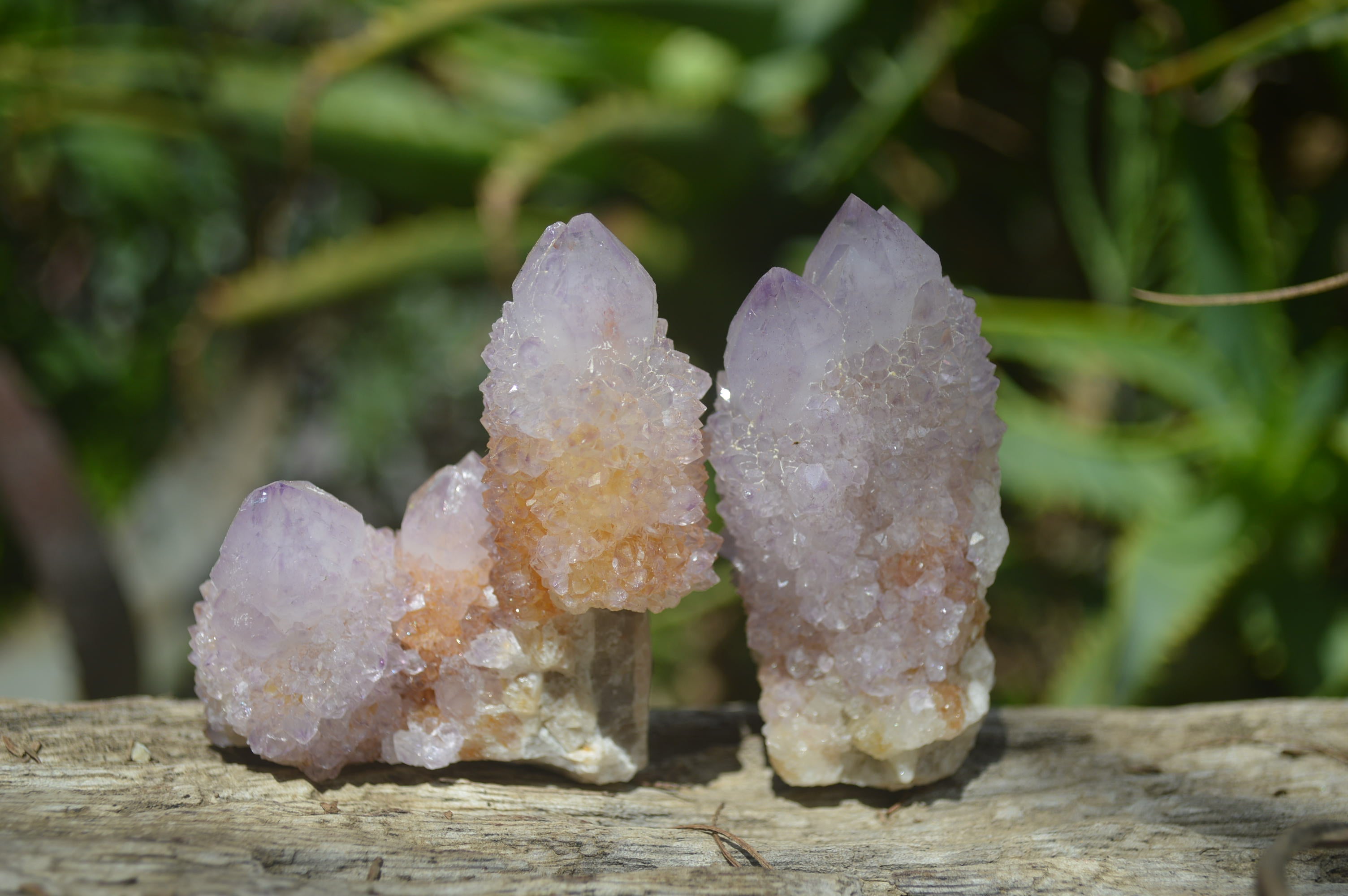 Natural Ametrine Spirit Quartz Clusters x 12 From Boekenhouthoek, South Africa - Toprock Gemstones and Minerals 