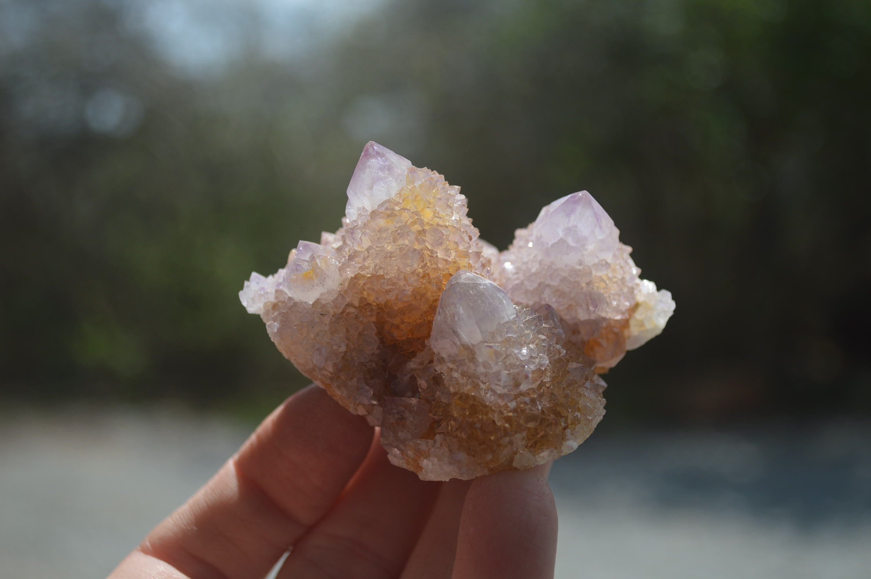 Natural Ametrine Spirit Quartz Clusters x 12 From Boekenhouthoek, South Africa - Toprock Gemstones and Minerals 