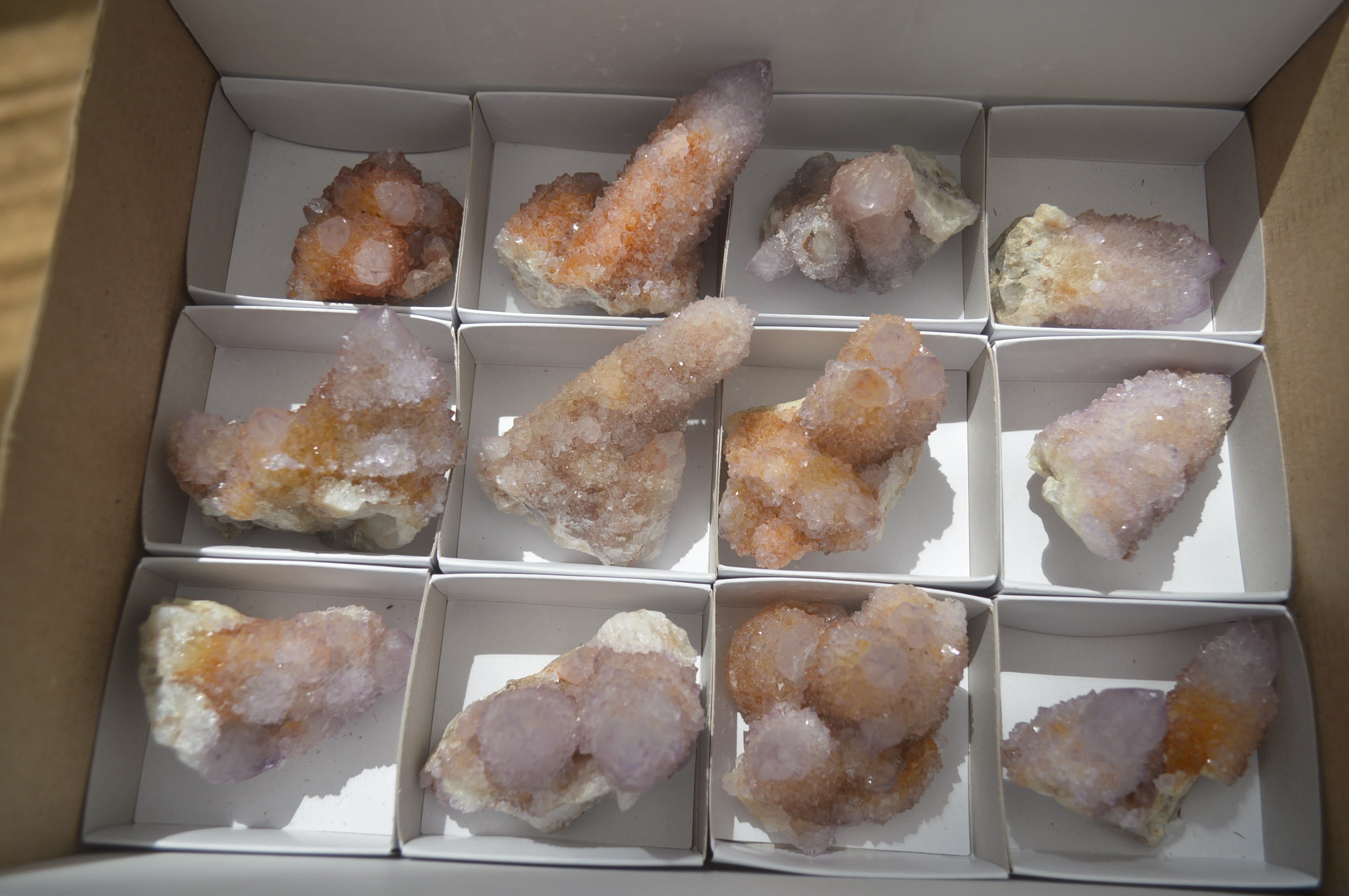 Natural Ametrine Spirit Quartz Clusters x 12 From Boekenhouthoek, South Africa - Toprock Gemstones and Minerals 