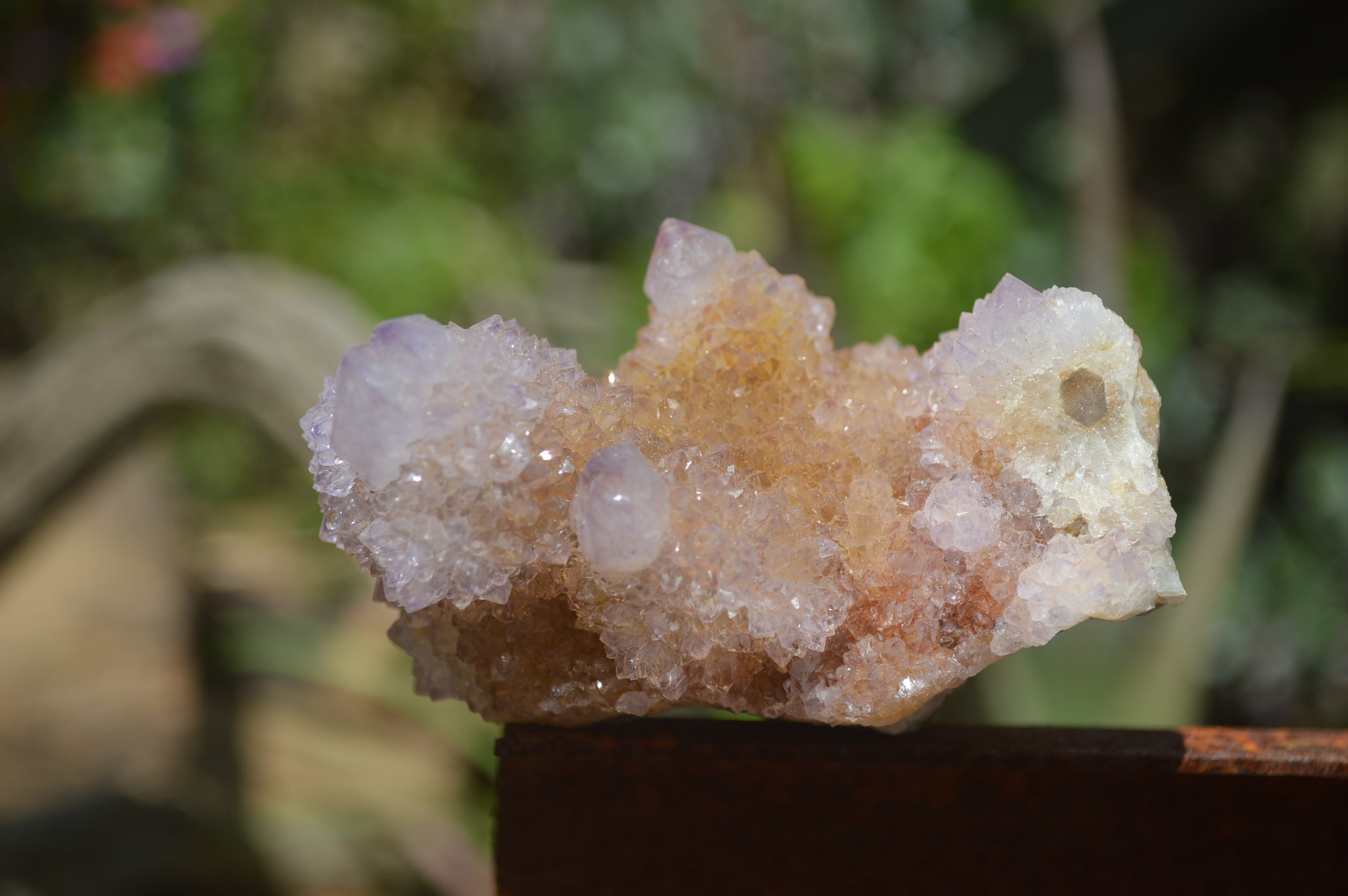 Natural Ametrine Spirit Quartz Clusters x 12 From Boekenhouthoek, South Africa - Toprock Gemstones and Minerals 