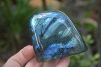 Polished Labradorite Standing Free Forms x 5 From Tulear, Madagascar - Toprock Gemstones and Minerals 