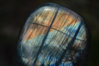 Polished Labradorite Standing Free Forms x 5 From Tulear, Madagascar - Toprock Gemstones and Minerals 