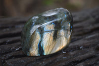 Polished Labradorite Standing Free Forms x 5 From Tulear, Madagascar - Toprock Gemstones and Minerals 