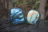 Polished Labradorite Standing Free Forms x 5 From Tulear, Madagascar - Toprock Gemstones and Minerals 